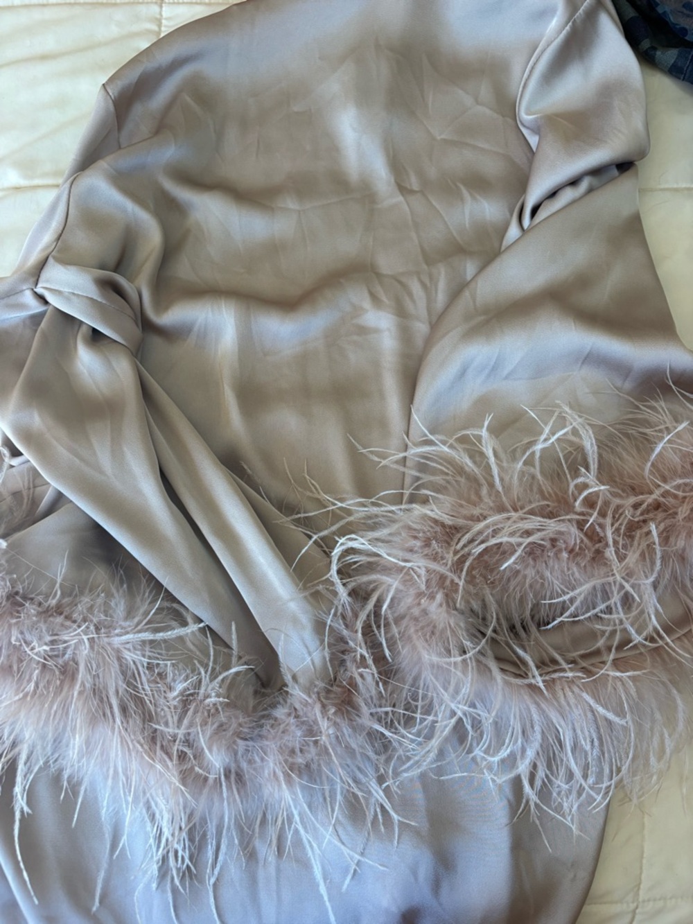 Silk Feather-Trim Robe in Blush - Picture 3 of 3